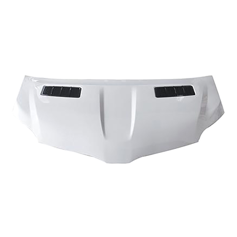 2011-2021 সিয়েনা বডিকিট